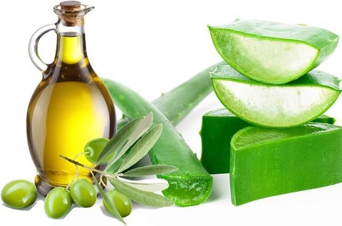 Merawat Keindahan Kuku Dengan Aloe Vera