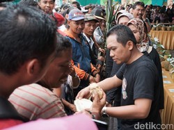 Event Serbu Durian Lumajang Sukses Tarik Ribuan Pengunjung
