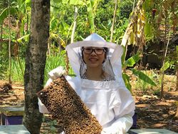 Mengecap Legitnya Cuan di Bisnis Madu Premium