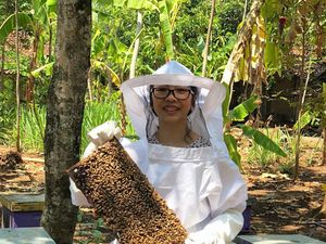 Mengecap Legitnya Cuan di Bisnis Madu Premium Mengecap Legitnya Cuan di Bisnis Madu Premium