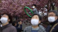 Keindahan Festival Bunga Sakura yang Tercoreng Corona