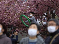 Sulitnya Menahan Diri Tak Saksikan Mekarnya Bunga Sakura