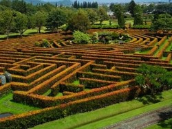 Mumpung Akhir Pekan Ke Taman Bunga Nusantara, Kuy!