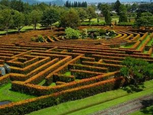 Mumpung Akhir Pekan Ke Taman Bunga Nusantara, Kuy! Mumpung Akhir Pekan Ke Taman Bunga Nusantara, Kuy!
