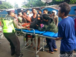 Pohon Tumbang di Situbondo Timpa Pemotor hingga Pingsan