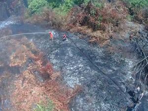 Karhutla di Dumai Padam, Satgas Lakukan Pendinginan