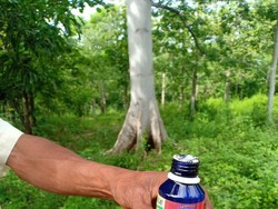 Istri Tak Mau Rujuk, Seorang Suami di Bantaeng Tenggak Racun Serangga