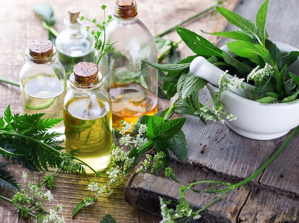 BPOM Dukung Masyarakat Konsumsi Obat Herbal untuk Cegah Virus Corona BPOM Dukung Masyarakat Konsumsi Obat Herbal untuk Cegah Virus Corona