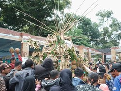 Mantul! Warga Lumajang Serbu 1.000 Durian Gratis