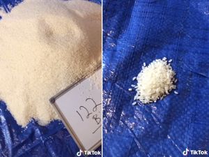 Video TikTok Viral: Gambaran Kekayaan Jeff Bezos Lewat Butiran Beras