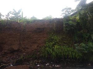 Permakaman di Bogor Kembali Longsor, 2 Jenazah Hanyut ke Sungai