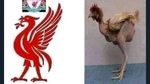 Liverpool Digasak Watford, Diserbu Meme