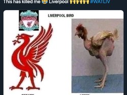 Ada pula yang sampai hati mengolok-olok Liver bird kebanggaan Liverpool. (Foto: internet/Twitter)