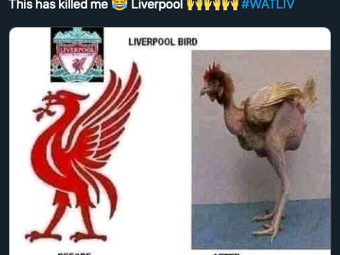 Watford vs Liverpool