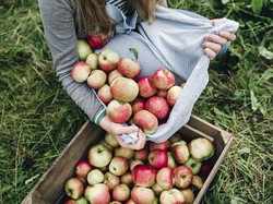10 Makanan Awet untuk Kamu yang Malas Keluar karena Virus Corona