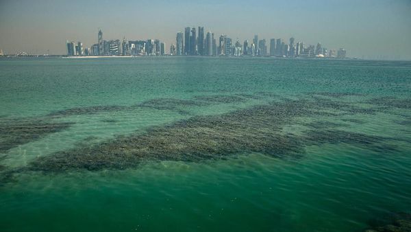 Giliran Qatar yang Konfirmasi Kasus Pertama Corona