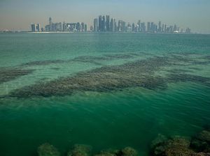 Giliran Qatar yang Konfirmasi Kasus Pertama Corona