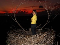 Pesona Bukit Cinta Oenali di Malam Hari