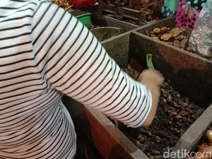 Jahe Merah Ludes Diburu Gara-gara Corona