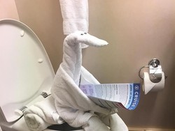 Aneka Macam Seni Melipat Handuk Hotel yang Lucu dan Menggemaskan