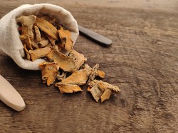 5 Tanaman Herbal untuk Bantu Jaga Imun Tubuh