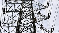 Aksi Petugas Bertaruh Nyawa Perbaiki Kabel Listrik di Tower Sutet