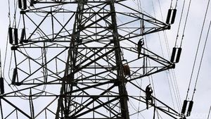 Aksi Petugas Bertaruh Nyawa Perbaiki Kabel Listrik di Tower Sutet