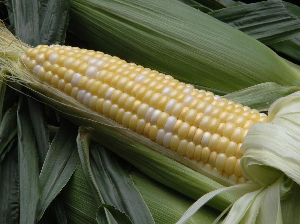 5 Makanan yang Diproduksi di China Ini Disebut Berbahaya 5 Makanan yang Diproduksi di China Ini Disebut Berbahaya