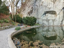 Hasil Jepretan Oppo Find X Series Terbaru yang Menawan