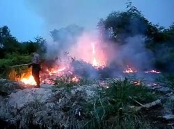 BPBD Padamkan 10 Hektare Lahan Terbakar di Asahan Sumut