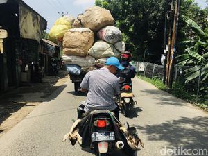 Sama-sama Membahayakan! Antara Kambing dan Muatan Berlebih