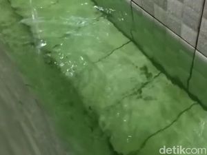 Hijau Terang Misterius, Air di Masjid Pekalongan Berasal dari Sumur Tua