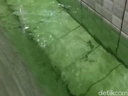 Hijau Terang Misterius, Air di Masjid Pekalongan Berasal dari Sumur Tua