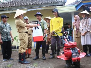 Petani Banyuwangi Bisa Lapor lewat Aplikasi Bila Ada Problem Pertanian