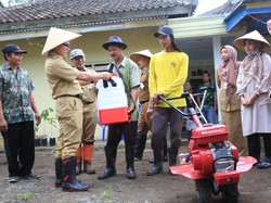 Petani Banyuwangi Bisa Lapor lewat Aplikasi Bila Ada Problem Pertanian