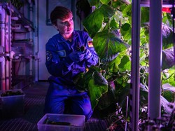 Gokil! Tak Hanya di Bumi, Sayuran Ini Juga Tumbuh di Luar Angkasa