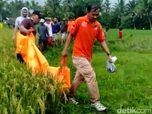 Ini Ciri Kepala yang Ditemukan Tak Jauh dari Mayat Leher Terpenggal Ini Ciri Kepala yang Ditemukan Tak Jauh dari Mayat Leher Terpenggal