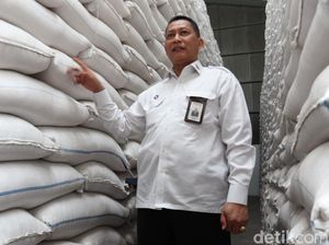 Jokowi Bentuk Badan Pangan Nasional, Buwas Jelaskan Peran Bulog ke DPR