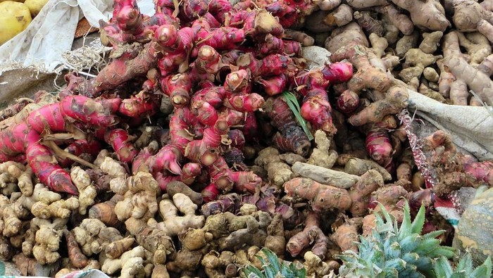 fresh Ginger root and slice isolated on white background with copy space for your text. Top view. Flat lay.