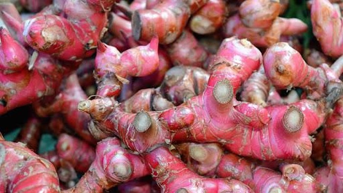 fresh Ginger root and slice isolated on white background with copy space for your text. Top view. Flat lay.
