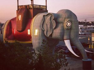 Foto: Hotel Ini Tawarkan Sensasi Menginap di Dalam Gajah, Unik Banget Foto: Hotel Ini Tawarkan Sensasi Menginap di Dalam Gajah, Unik Banget