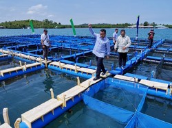 Genjot Perikanan, Menteri Edhy Jamin Tak Akan Berjarak dengan Nelayan