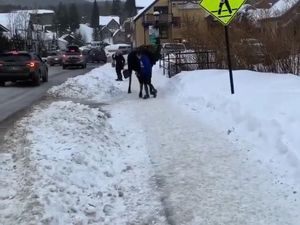 Coba Sentuh Rusa Besar, Wanita Ini Malah Ditendang