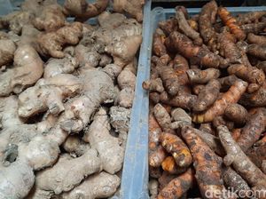 Diburu Masyarakat, Harga Empon-empon di Pasar Surabaya Naik 10 Persen