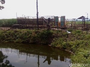 Pembangunan Kolam Pancing yang Ganggu Kajian Situs Majapahit Berlanjut Pembangunan Kolam Pancing yang Ganggu Kajian Situs Majapahit Berlanjut