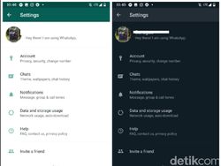 Seluk Beluk Dark Mode WhatsApp yang Bikin Heboh