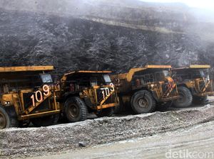 Karpet Merah Freeport di Era Soeharto