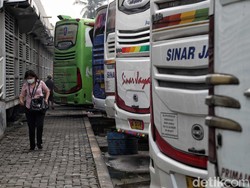 Berharap Dukungan Pemerintah untuk Selamatkan Transportasi