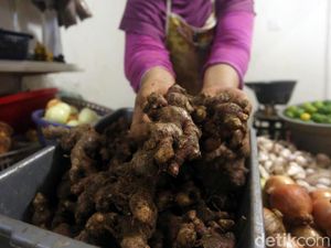 Heboh Corona, Harga Jahe Merah Tembus Rp 70.000/Kg