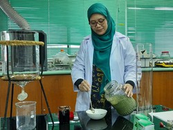 Selain Empon-empon Corona, Daun Sambiloto Juga Mampu Tingkatkan Imun